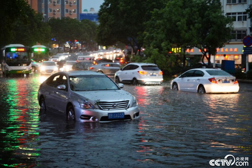 青岛遭遇暴雨大风天气部分道路积水严重树木倒伏