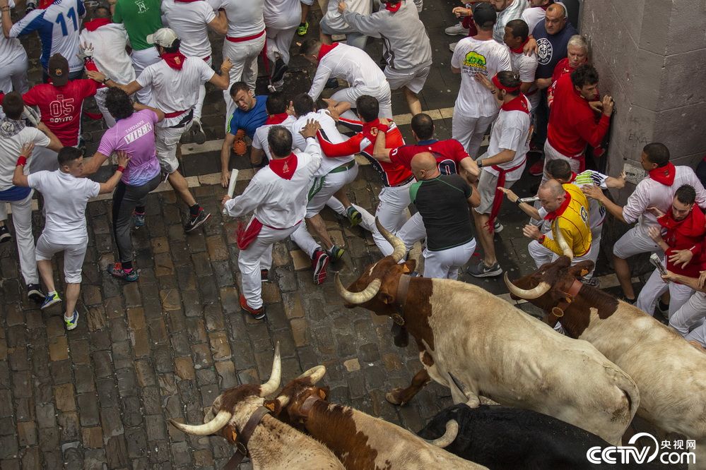 西班牙奔牛节开幕 男子被公牛顶中屁股