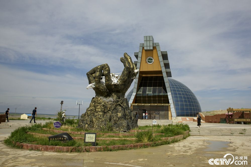 登录 1/12 我要分享 央视网消息:(记者:李夏 张恪忞 邢明)二连盆地