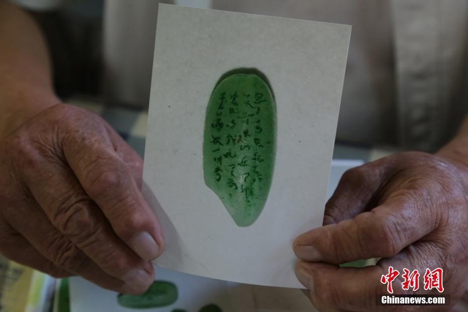 我要分享  8月4日,甘肃平凉市82岁的陈金元在家中展示自己的大米微雕