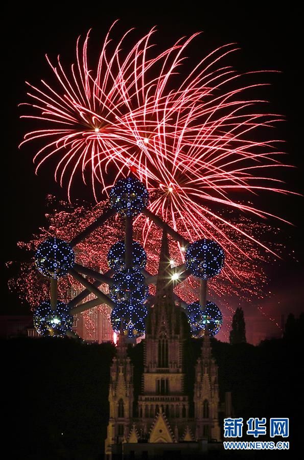 布鲁塞尔上演绚丽烟花秀