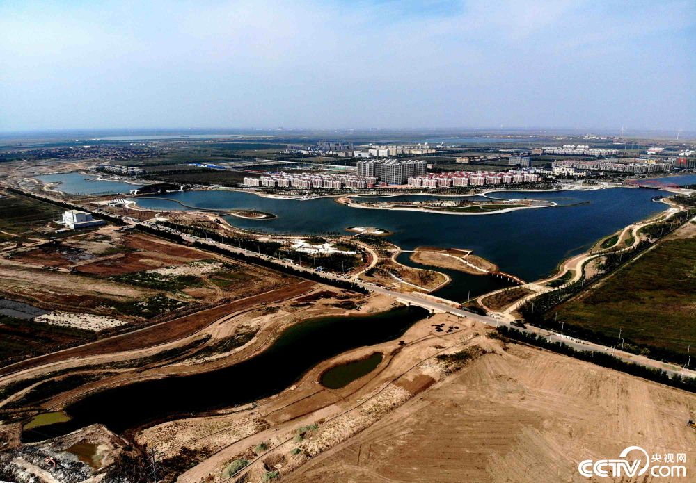 绿摇水皱 红铺滩涂 黄土碱滩今变绿洲