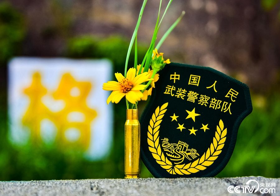 2018繁荣稳定的背后,有一群默默奉献的"橄榄绿",是他们用自己的鲜血和