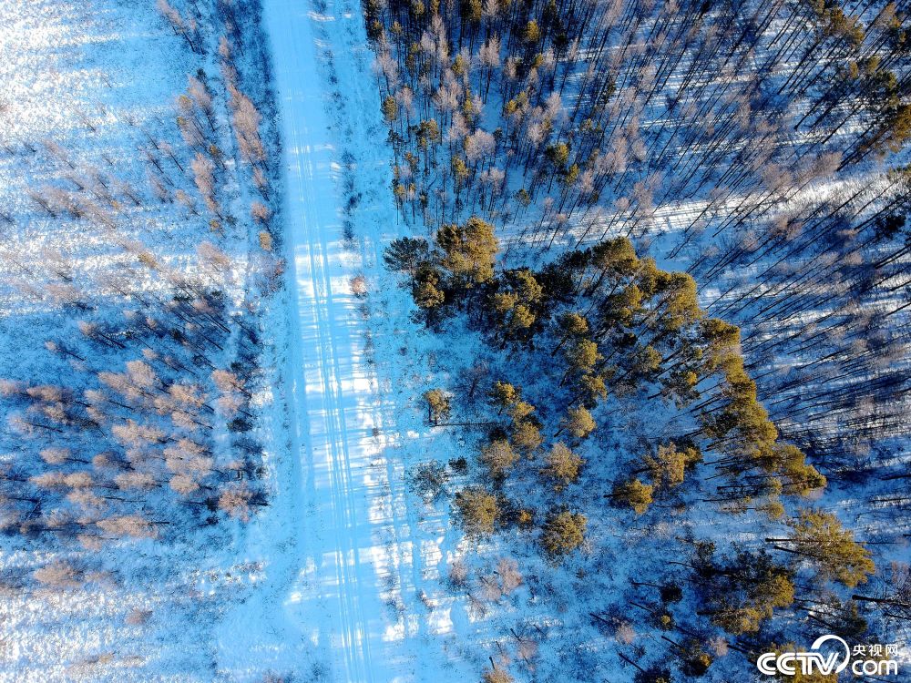 航拍黑龙江大兴安岭银装素裹