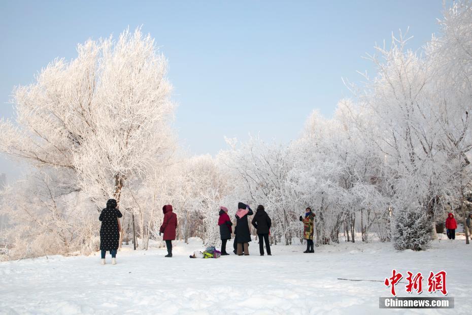吉林松花江畔频现玉树琼花雾凇进入最佳观赏期 新闻 央视网 Cctv Com