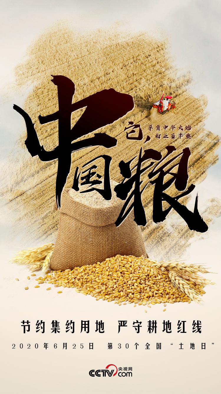 土地【全国土地日】产中国粮 托中国碗 兴中国农