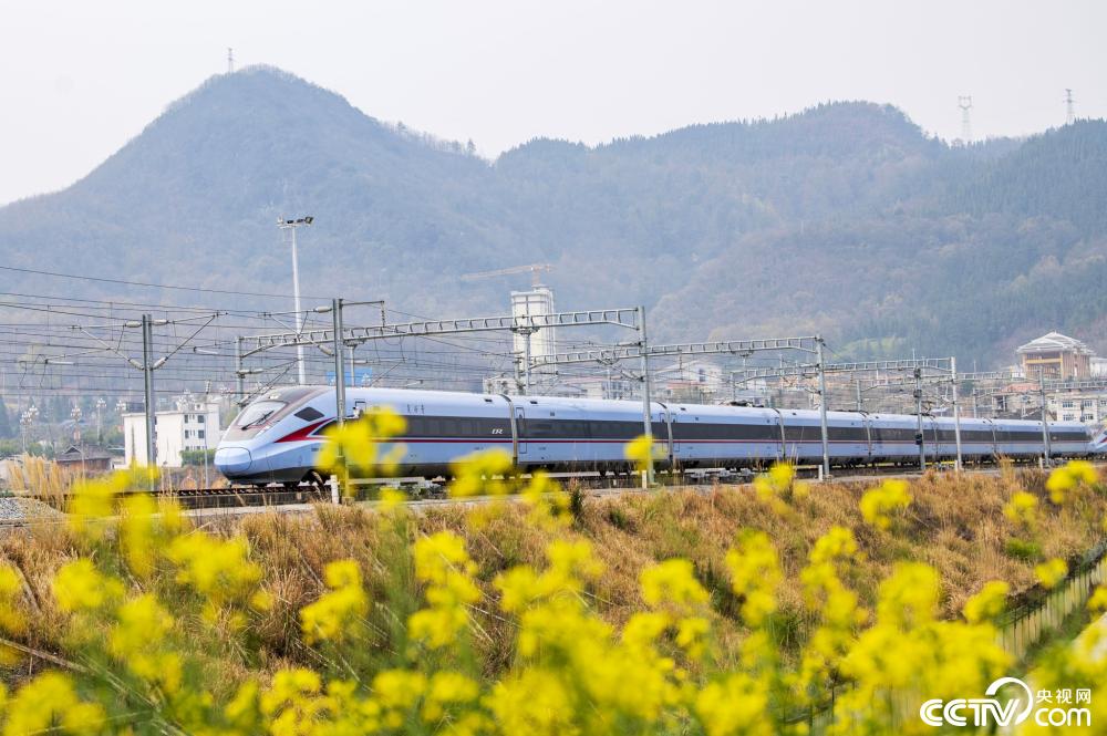 贵州黔东南高铁穿行金色花海