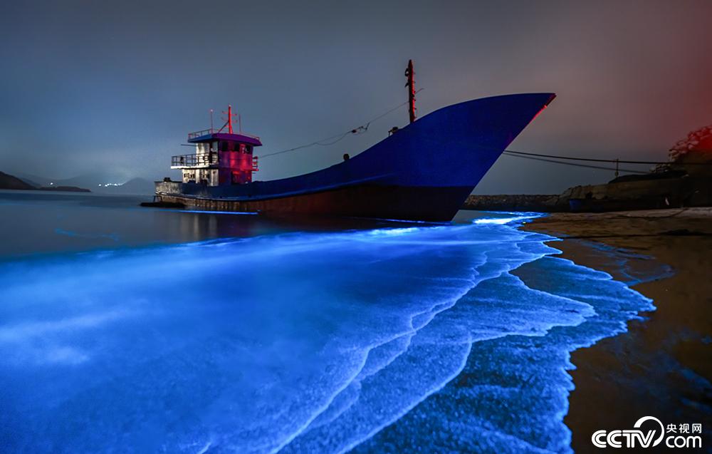福建平潭现蓝眼泪景观
