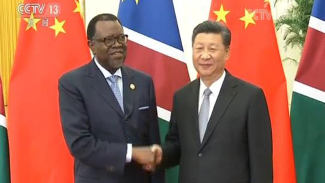 习近平会见纳米比亚总统