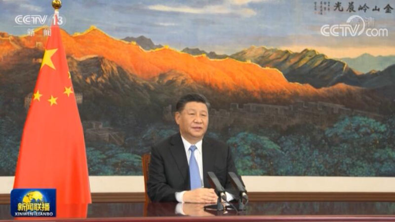 习近平在第十七届中国—东盟博览会和中国—东盟商务与投资峰会开幕式上致辞