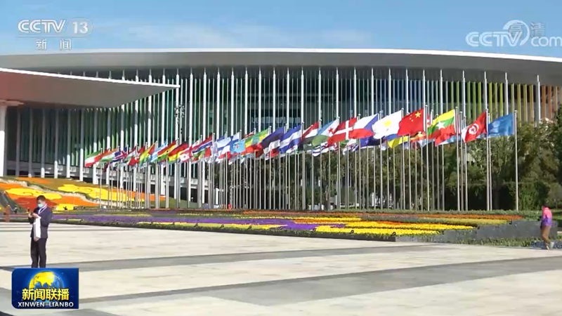 彰显中国开放与自信 体现大国责任担当——习近平主席在第三届进博会开幕式上的主旨演讲引发与会嘉宾热烈反响