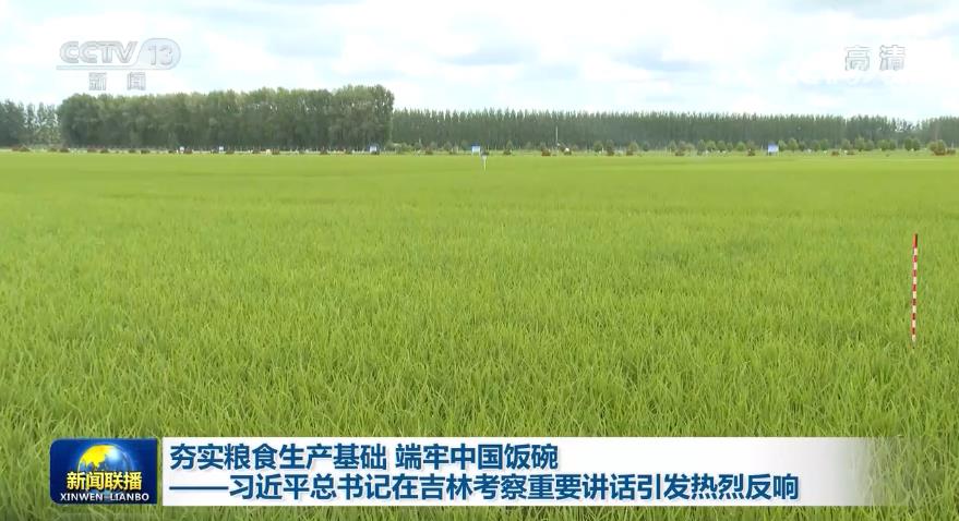 夯实粮食生产基础 端牢中国饭碗——习近平总书记在吉林考察重要讲话引发热烈反响