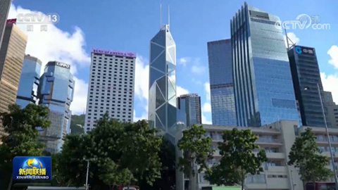 香港各界支持全国人大常委会依法作出决定