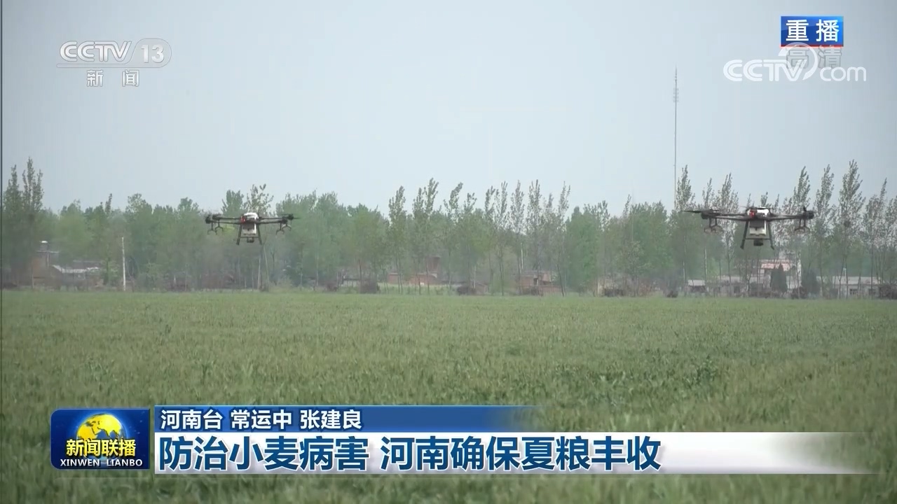 防治小麦病害 河南确保夏粮丰收