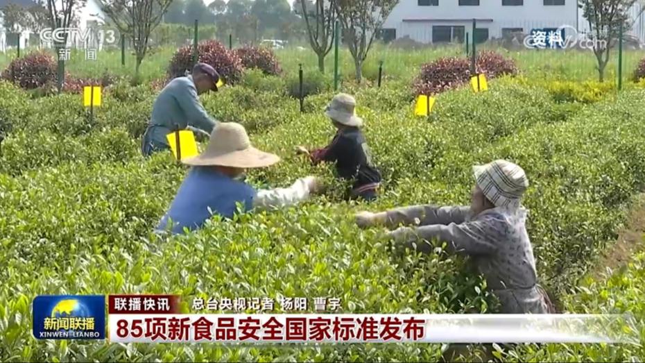国内联播快讯