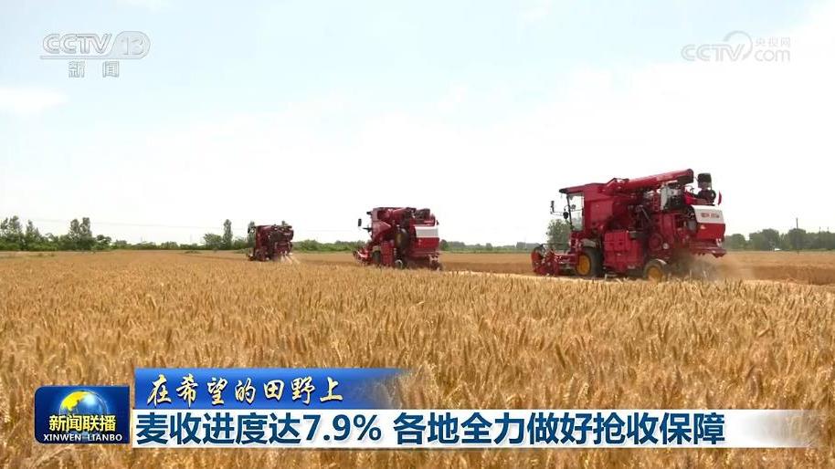 【在希望的田野上】麦收进度达7.9% 各地全力做好抢收保障