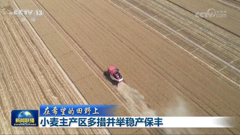 【在希望的田野上】小麦主产区多措并举稳产保丰