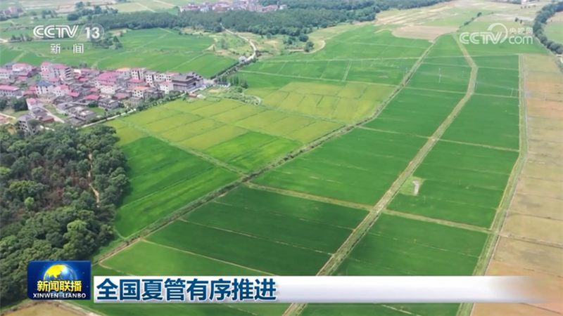 全国夏管有序推进