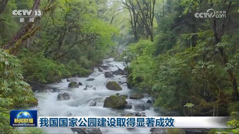 我国国家公园建设取得显著成效