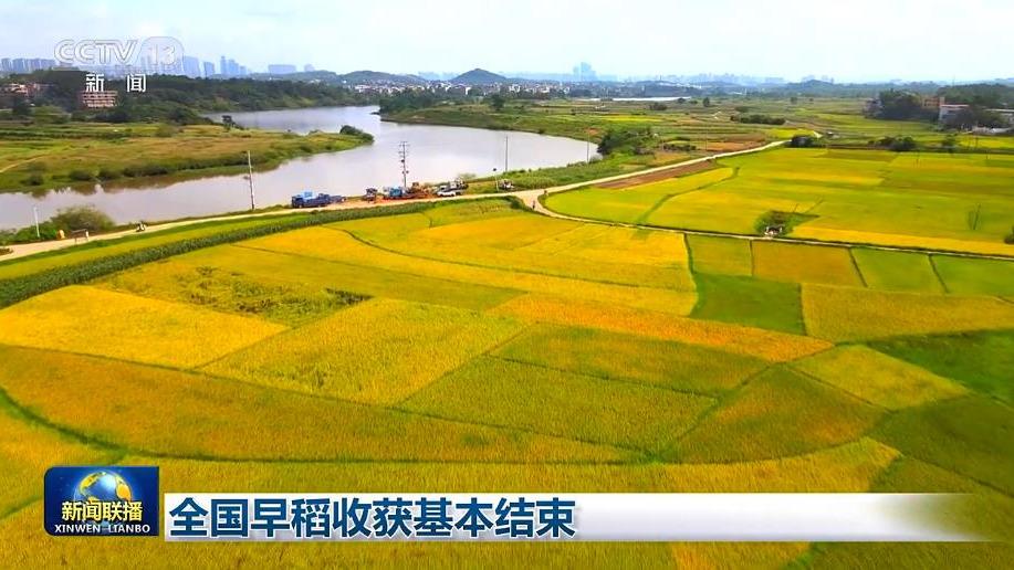 全国早稻收获基本结束