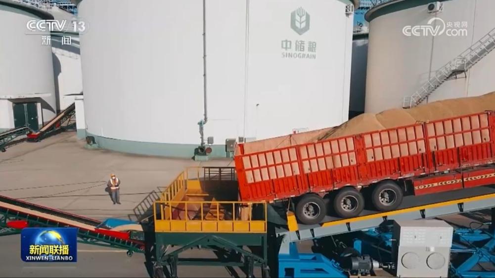 我国粮食安全保障能力不断增强