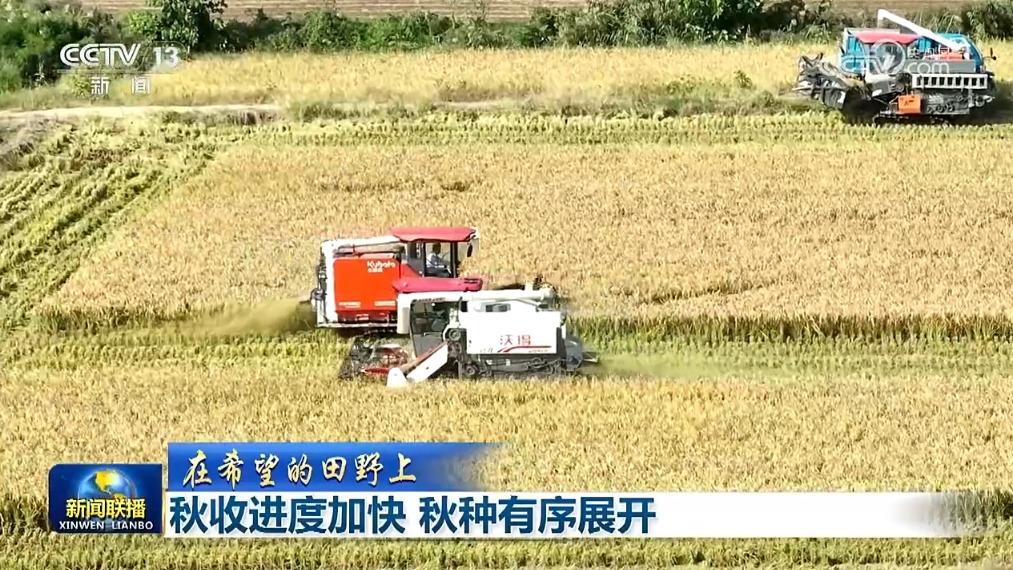 【在希望的田野上】秋收进度加快 秋种有序展开