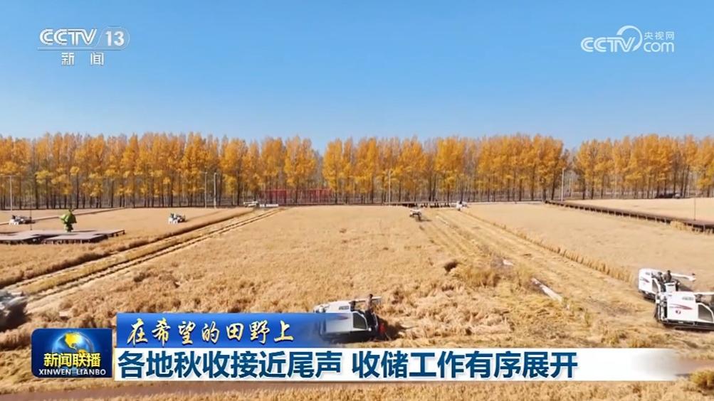 【在希望的田野上】各地秋收接近尾声 收储工作有序展开