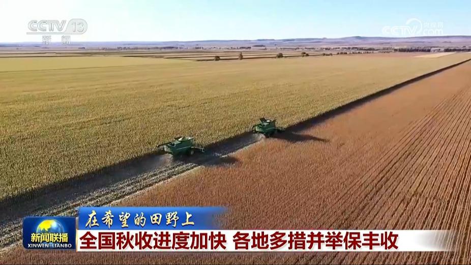 【在希望的田野上】全国秋收进度加快 各地多措并举保丰收