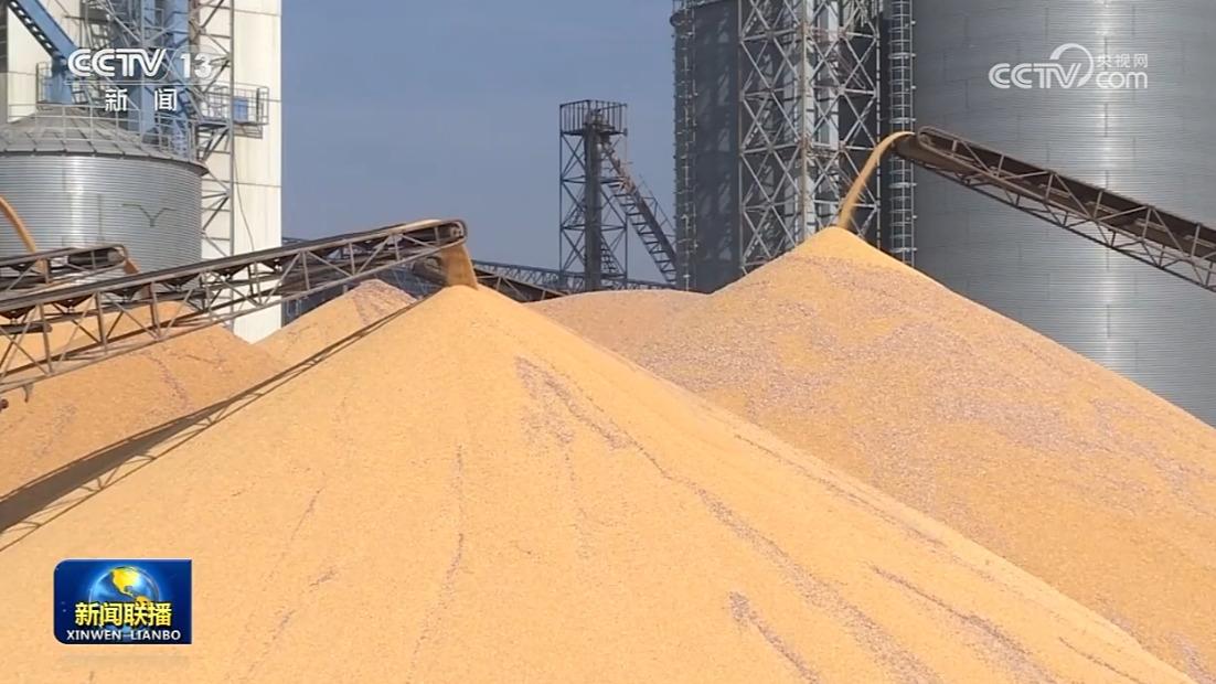秋粮收购进入高峰期 总量超1.6亿吨