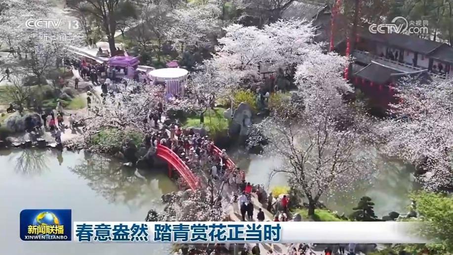 春意盎然 踏青赏花正当时
