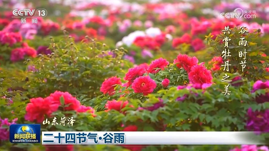 二十四节气·谷雨