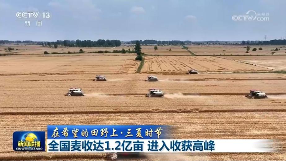【在希望的田野上·三夏时节】全国麦收达1.2亿亩 进入收获高峰