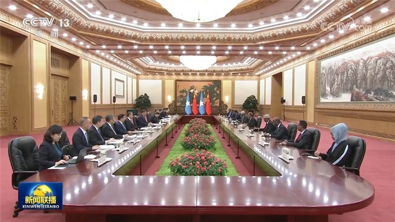 习近平会见索马里总统