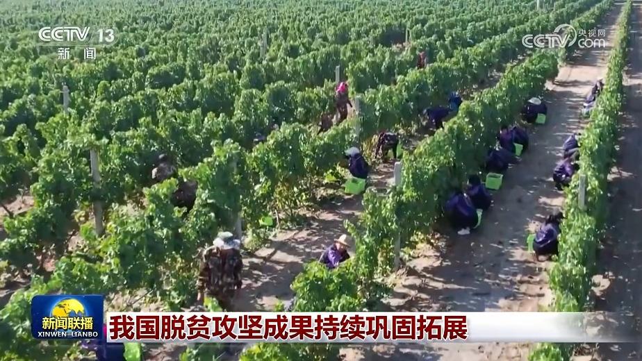 我国脱贫攻坚成果持续巩固拓展