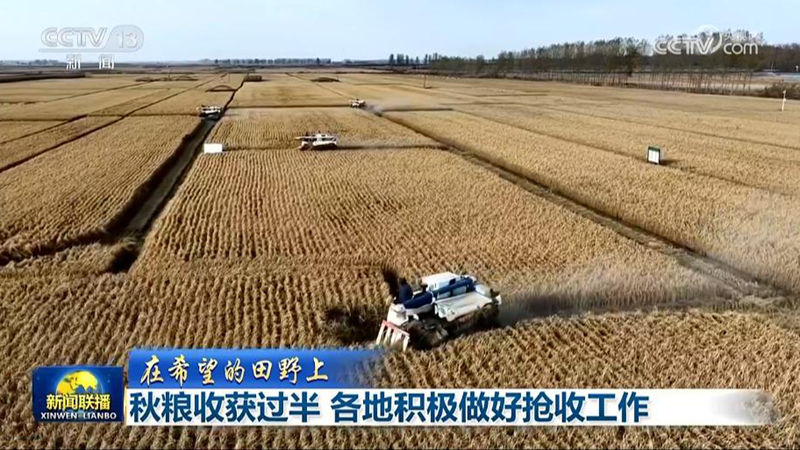 【在希望的田野上】秋粮收获过半 各地积极做好抢收工作