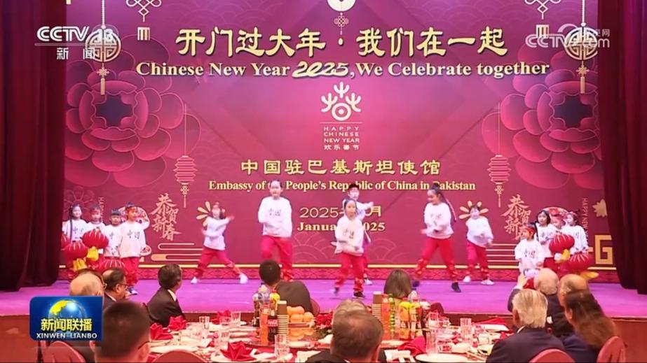 我驻多国使馆举办多彩活动庆祝蛇年春节