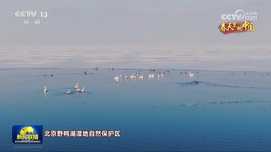 春天里的中国