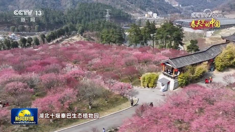 春天里的中国