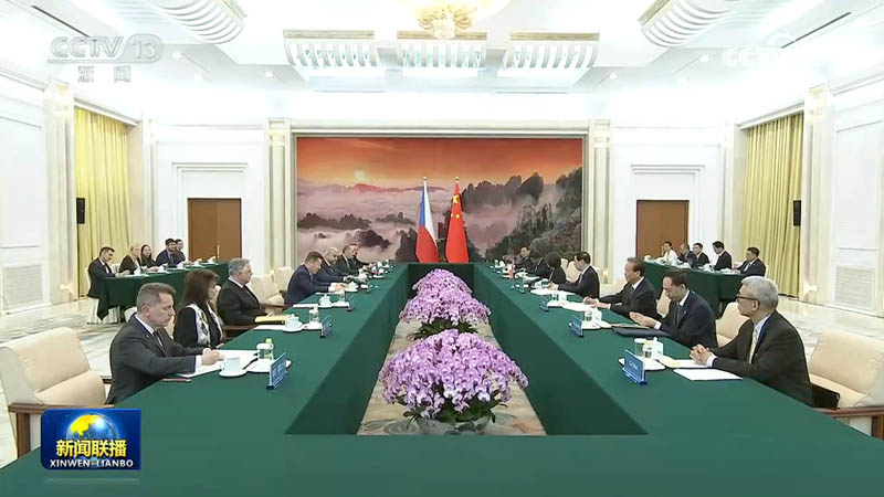 王沪宁会见捷克众议长