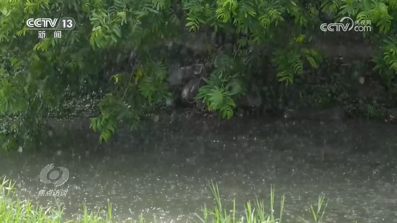 《焦点访谈》 20260810 同风雨 共担当