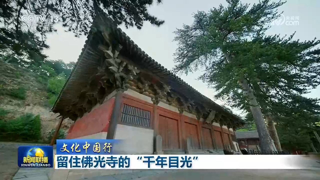 【文化中国行】留住佛光寺的“千年目光”