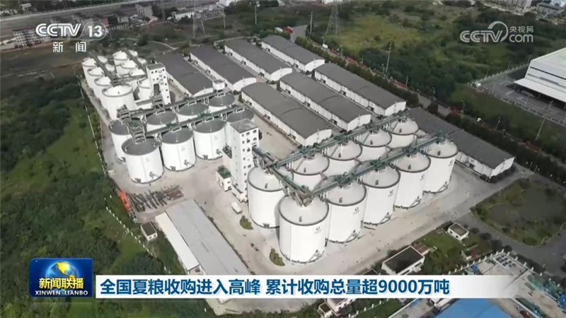 全国夏粮收购进入高峰 累计收购总量超9000万吨