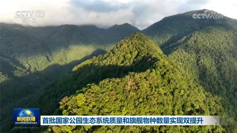 首批国家公园生态系统质量和旗舰物种数量实现双提升