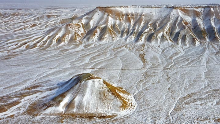 大熊猫"八喜","映雪"即将回归大自然