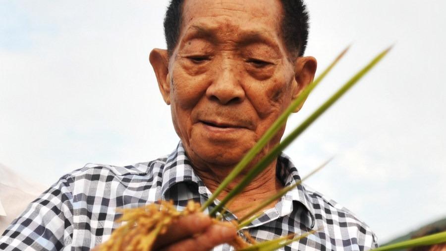 Xi's condolences conveyed to family of 'father of hybrid rice'_英语频道_央视网 ...