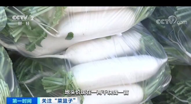 五月全国蔬菜价格季节性回落 经济频道 央视网 Cctv Com