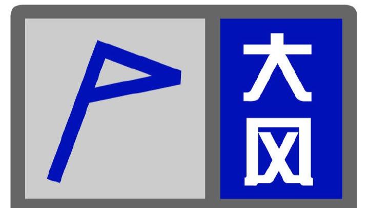 上海刚刚发布大风蓝色预警信号