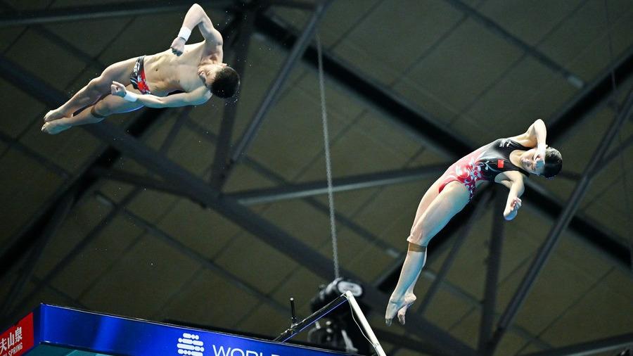 Golden harvest - China wins three diving golds at swimming worlds - Vimarsana News