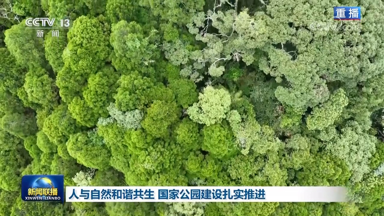 人与自然和谐共生 国家公园建设扎实推进