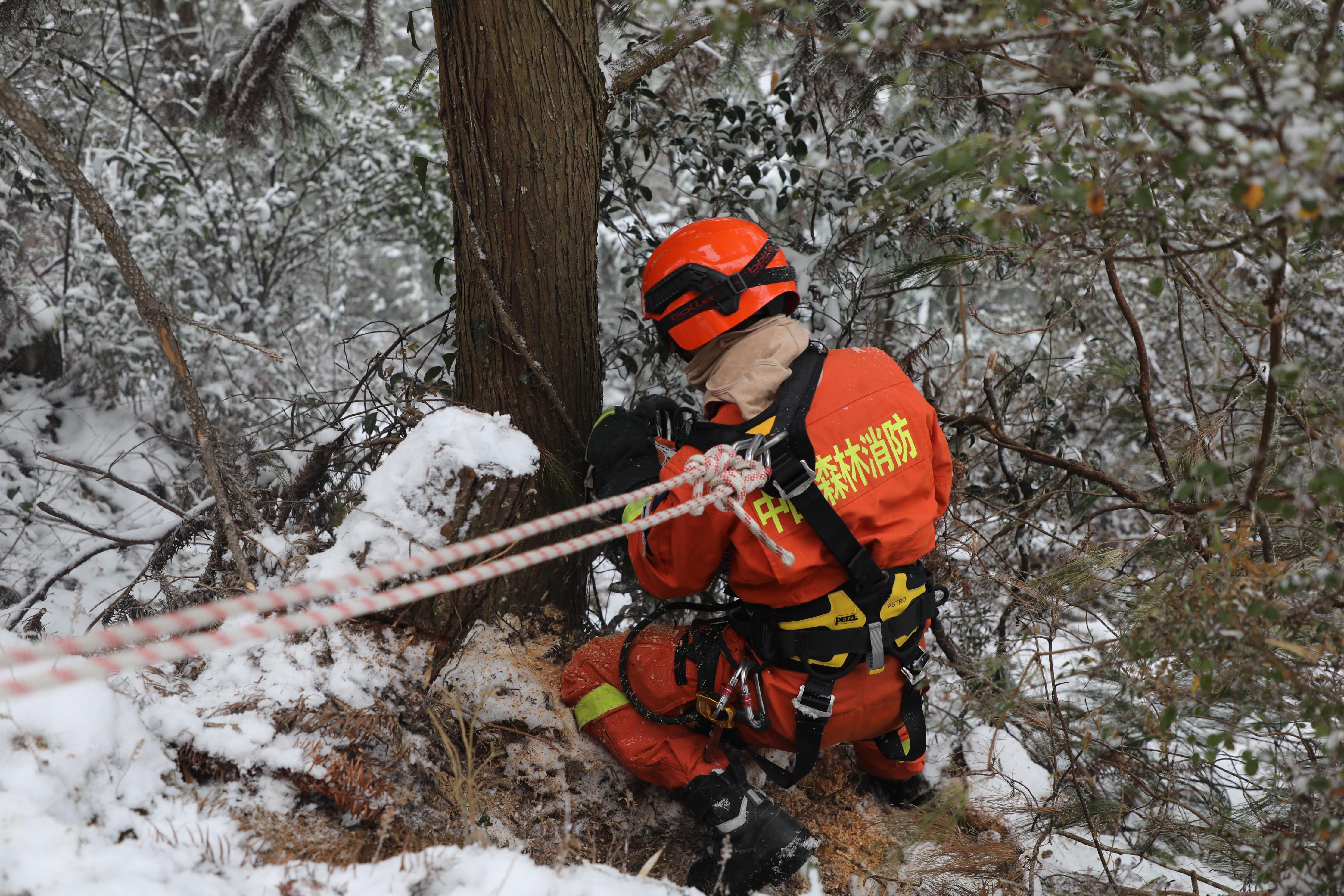 消防员利用油锯对倒压的树木进行切除清理王治康摄 - 副本